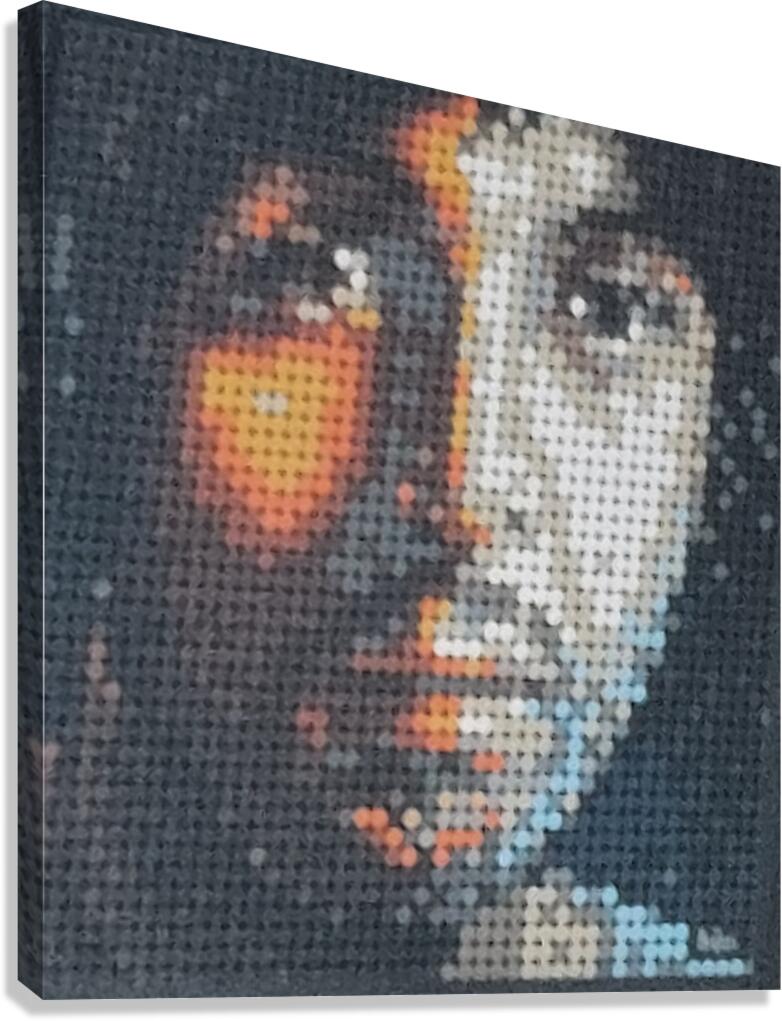 Lego McCartney  Canvas Print