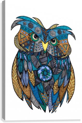 Angry Owl Canvas Print
