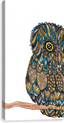 Teal Owl Canvas Print