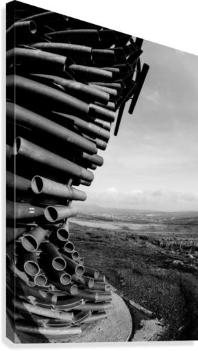 Ringing tree Canvas Print