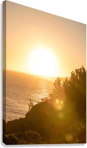 Brilliant sunset Canvas Print