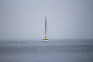 Lonely Waters