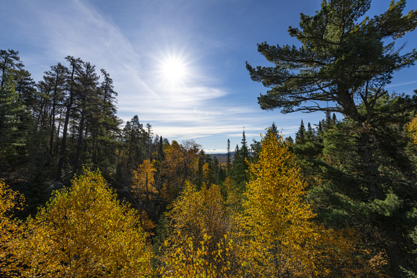 Fall Scene Print