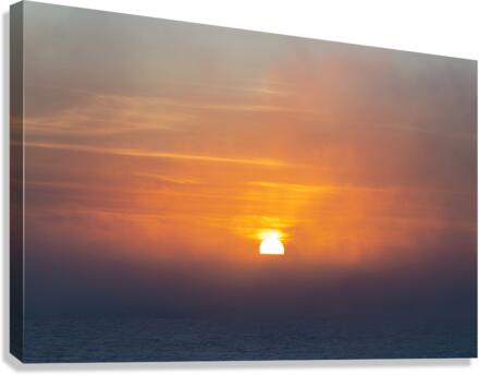 Emerging Canvas Print