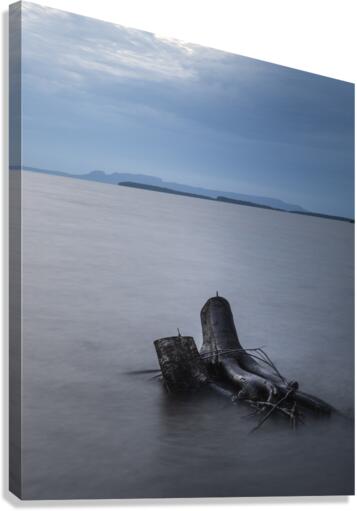 Drifting Canvas Print