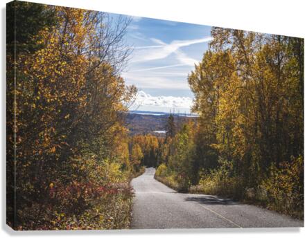 Fall Road Canvas Print