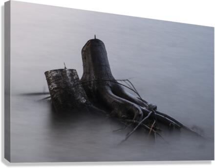 Just Chillin Canvas Print
