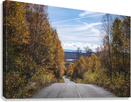 Fall Road 2 Canvas Print