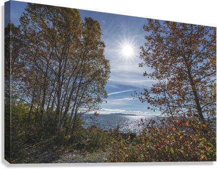 Autum Canvas Print