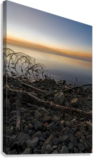 At Dawn Canvas Print