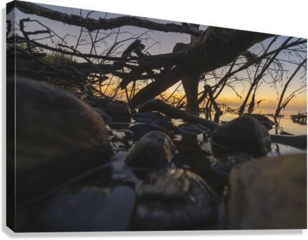 Fallen Sunrise Canvas Print
