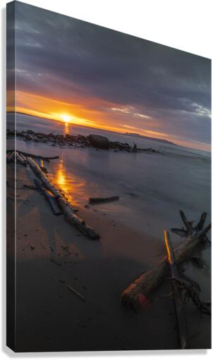 Washed Up Canvas Print