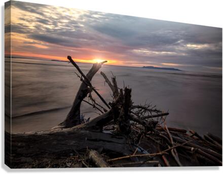 Sunrise Canvas Print