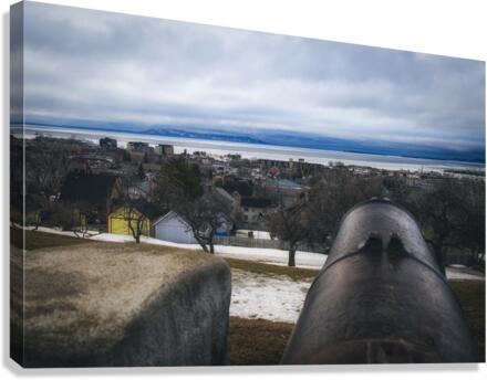 Take Aim Canvas Print
