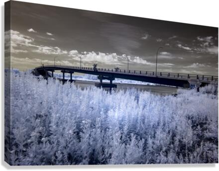McKellar Bridge IR Canvas Print