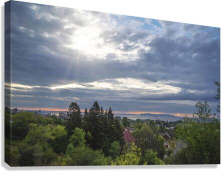 Mid August View Canvas Print