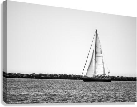 Sail Boat Canvas Print