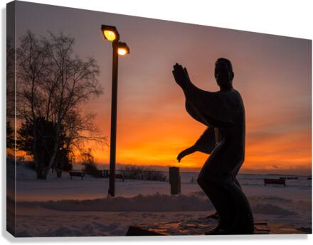 Tai Chi Canvas Print