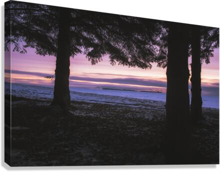 Through The Trees Canvas Print