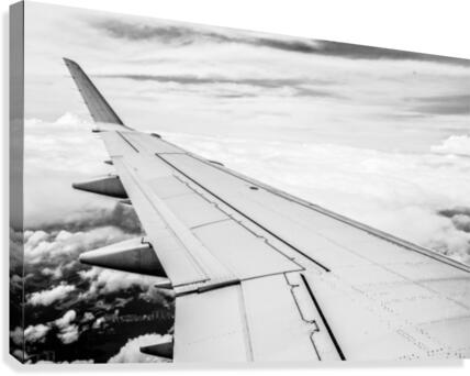 Airplane Wing Canvas Print