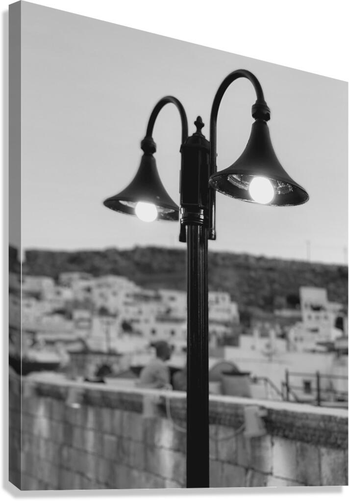  Lightography Canvas Print
