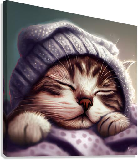 Cat Nap Canvas Print