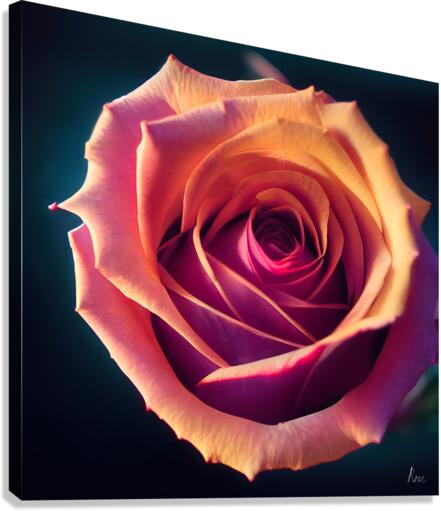 Rose Canvas Print