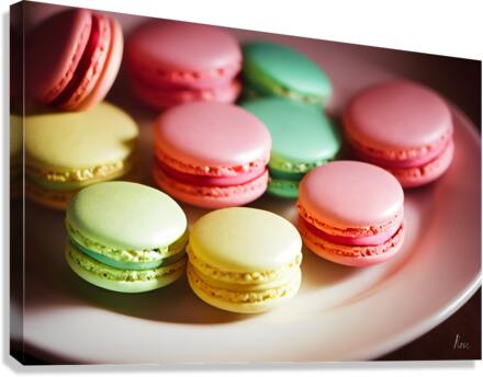 Macaroons Canvas Print