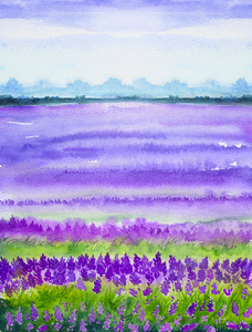 Hand-drawn Watercolor Spring Lavender Fields