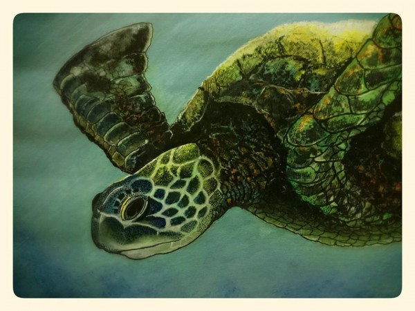 Turtle Print