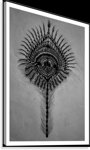 Peacock Feather Canvas Print