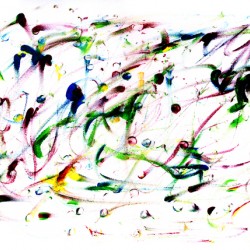 Bird Song