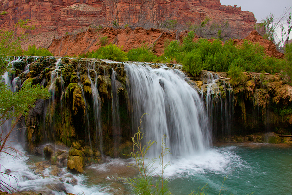  havasu falls 9877 Print