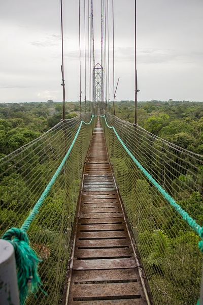 Ecuador 9 0813 Print