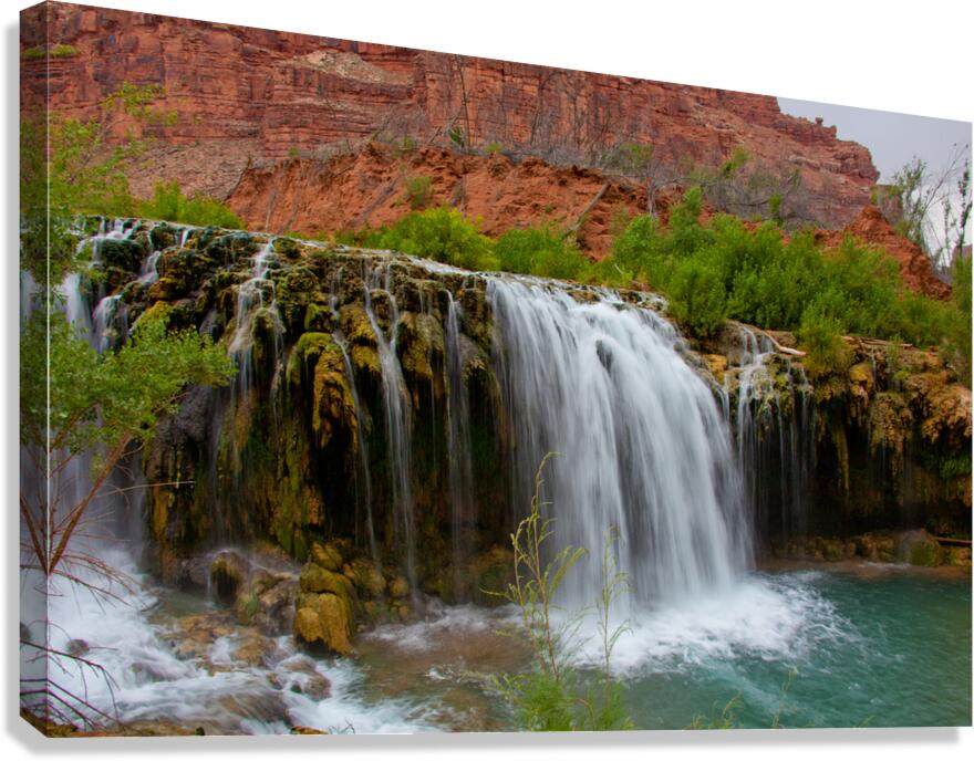  havasu falls 9877 Canvas Print