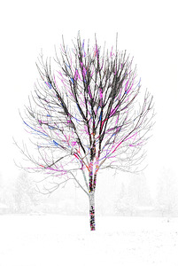 Winter Tree