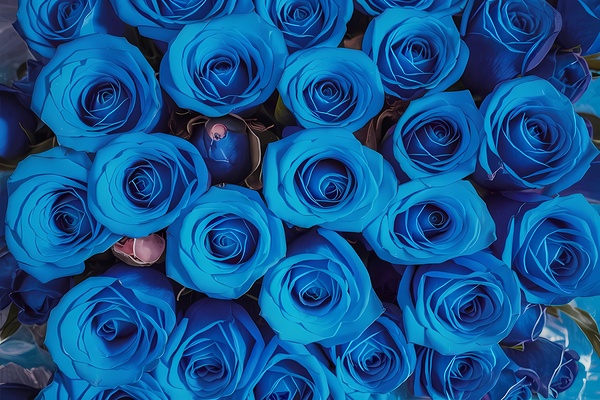 blue roses Print