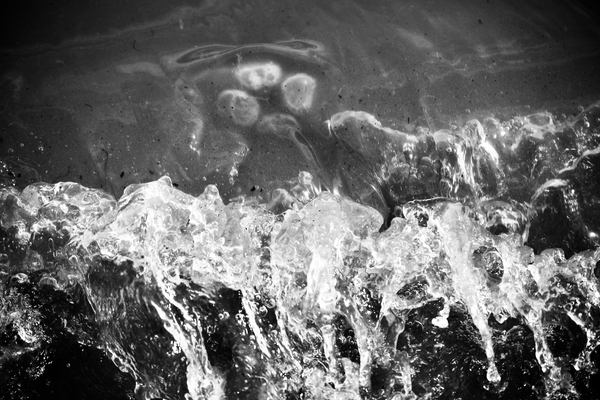 Jelly 2 by Alice Veronique