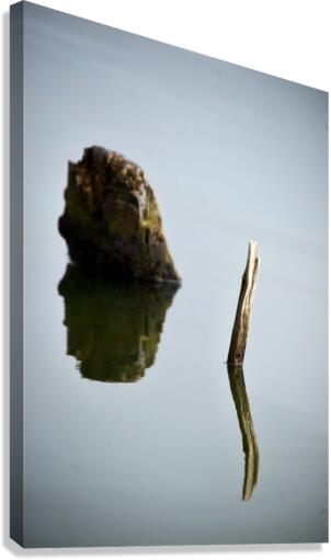 Drowned I Canvas Print