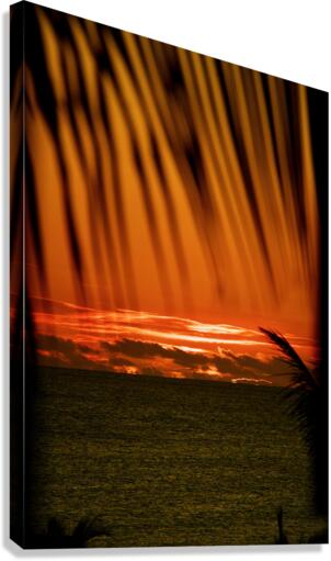 Fever’s Rising High Canvas Print