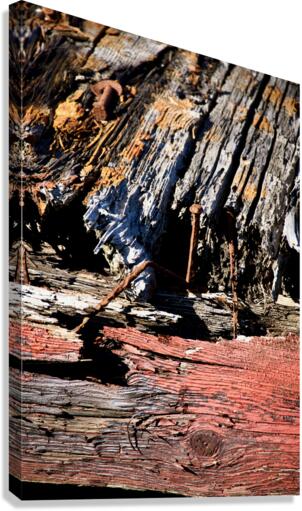 Lobsterman Canvas Print