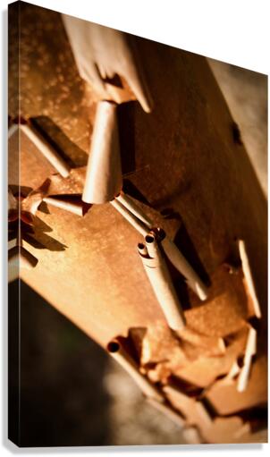 Secret Scrolls Canvas Print