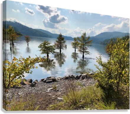 Dam Damned Canvas Print