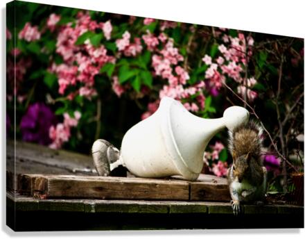 Untitled Canvas Print