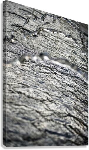 Tears Canvas Print