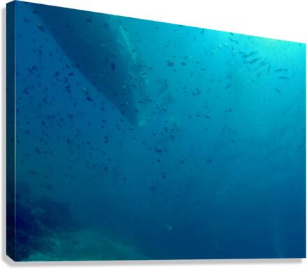 Traffic Jam Canvas Print