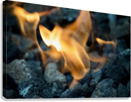 A Slow Fire Burning 2 Canvas Print