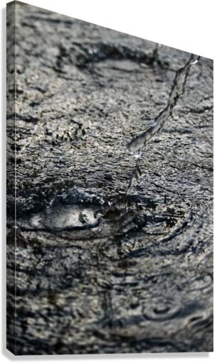 Tears Canvas Print