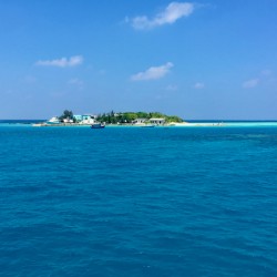 Paradise 