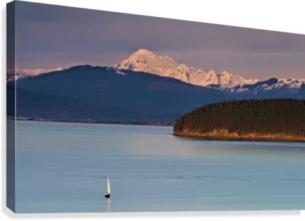 Evening Sail  Canvas Print